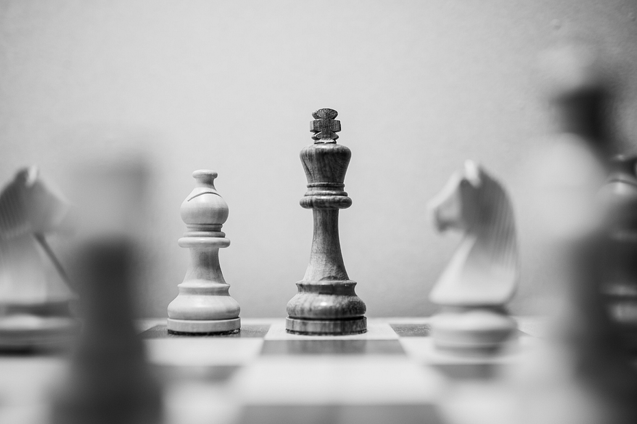 ppc lead expert marketing canada